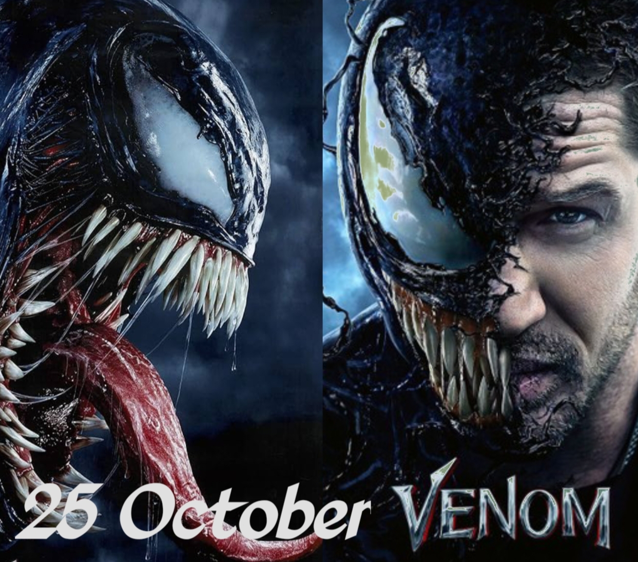 Venom the last dance movie story